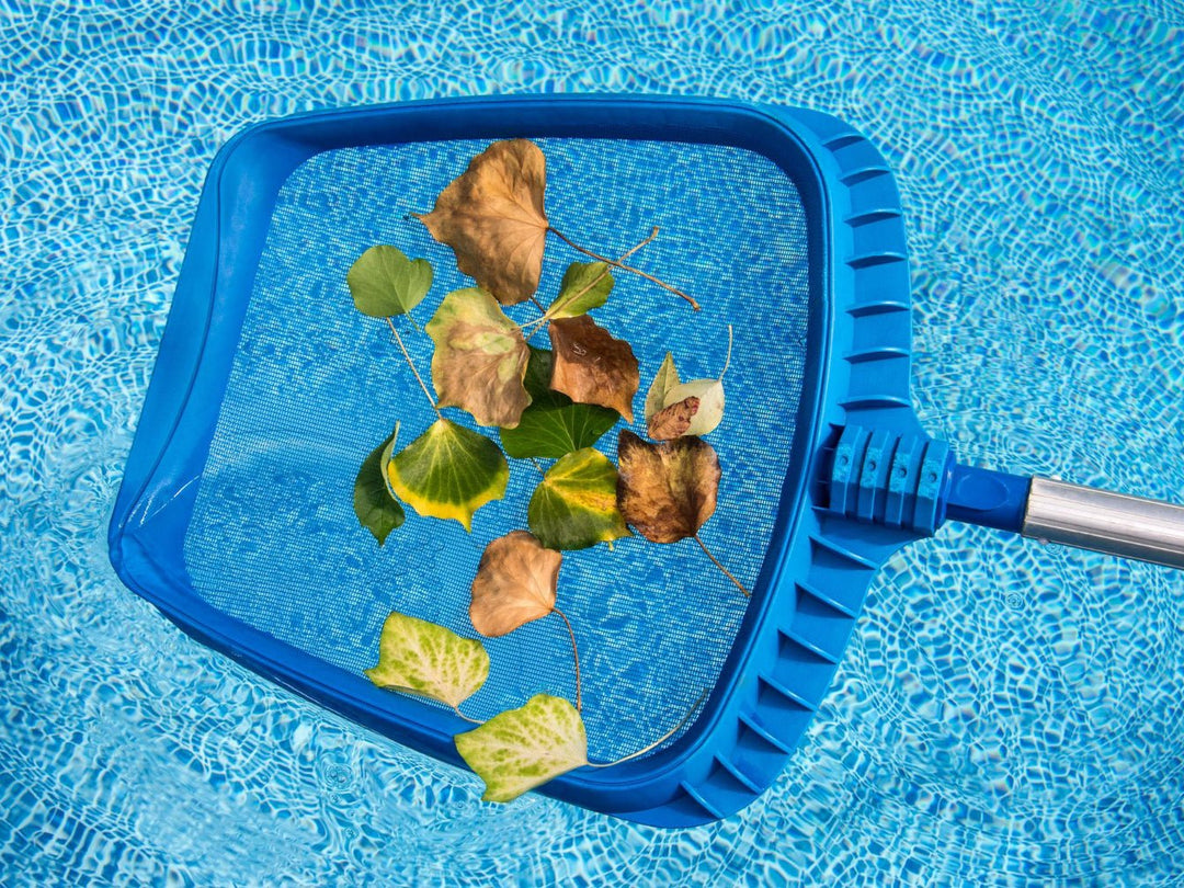 Complete Guide to Pool Supplies | Essentials & Maintenance Tips ...