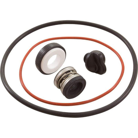 Pool Pump Seals & O-Rings
