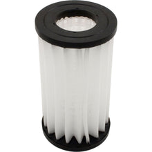 Jandy R0374600 OEM Ray-Vac Energy Filter Element Kit