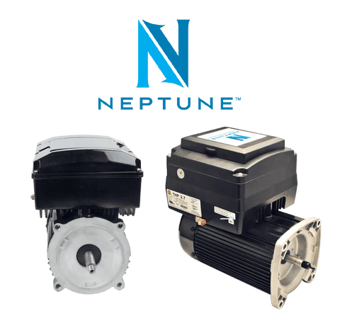 Neptune 1.65hp Square NPTQ165 - Benchmark Pool Supply