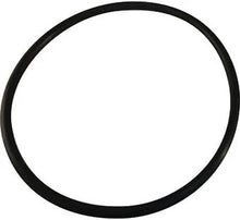 Aladdin O-318-0 Pump Lid O-Ring – Pentair 350013 / 355332 / 352600