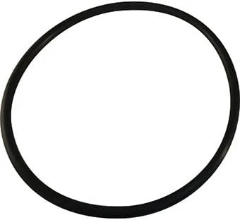 Aladdin O-318-0 Pump Lid O-Ring – Pentair 350013 / 355332 / 352600
