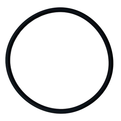 Aladdin O-421-0 Diffuser O-Ring – Pentair 355331 / Challenger
