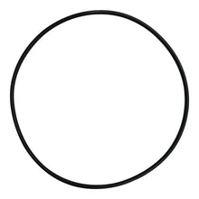 Aladdin O-521 Jandy Pump Seal Plate O-Ring | R0446300