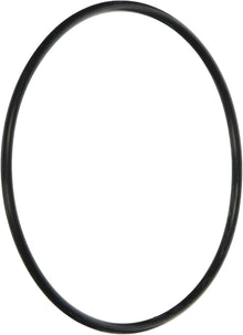 Jandy O-Ring, Energy Filter Replacement, R-Kit R0374500