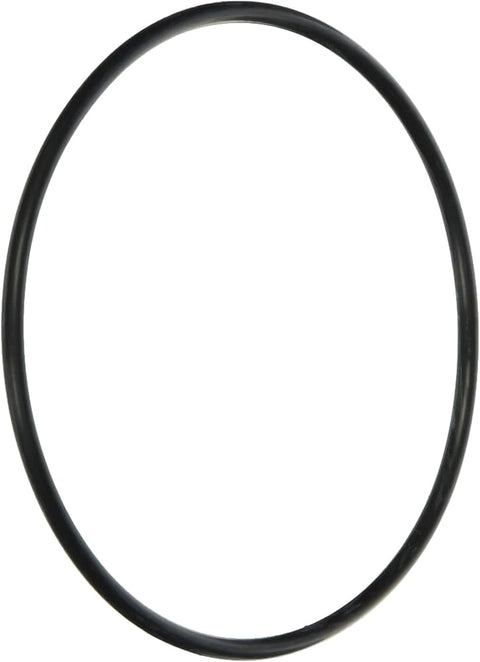 Jandy O-Ring, Energy Filter Replacement, R-Kit R0374500 genuine OEM pool part from Benchmark Pool Supply