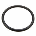 Pentair 35505-1429 O-Ring Replacement Seal genuine OEM pool part from My Store
