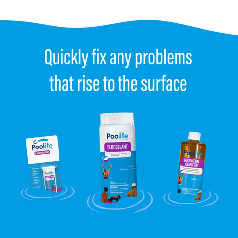 PhosFIGHT+ Phosphate Remover Poolife Stain & Scale for swimming pools