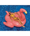 Swimline GIANT RIDE - ON ORIGINAL FLAMINGO | 90627 Pool Toys for swimming pools